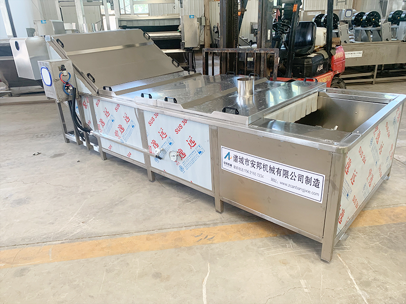 Steaming and blanching line